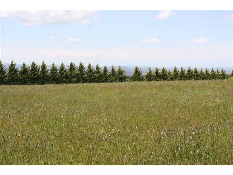 134 McGeorge Rd, Gisborne VIC 3437