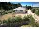 207 Campbell Rd, Riddells Creek VIC 3431