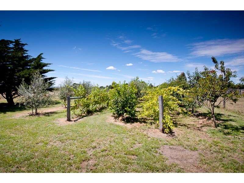 207 Campbell Rd, Riddells Creek VIC 3431