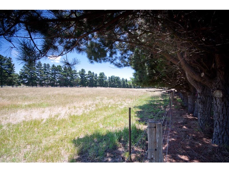 207 Campbell Rd, Riddells Creek VIC 3431