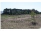 Lot 5/88  Barry Rd, New Gisborne VIC 3438