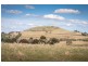 Lots 3-7/ 40 Cabbage Tree Lane, Gisborne VIC 3437