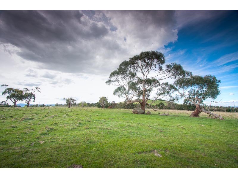 Lot 3-7 / 40 CABBAGE TREE LANE, Gisborne South VIC 3437