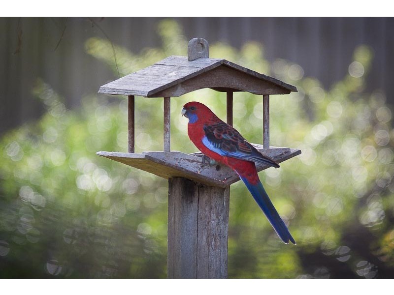 70 Somerville Lane, Riddells Creek VIC 3431