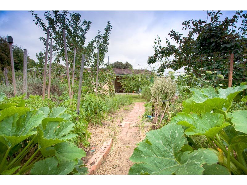 3 Racecourse Road, Riddells Creek VIC 3431