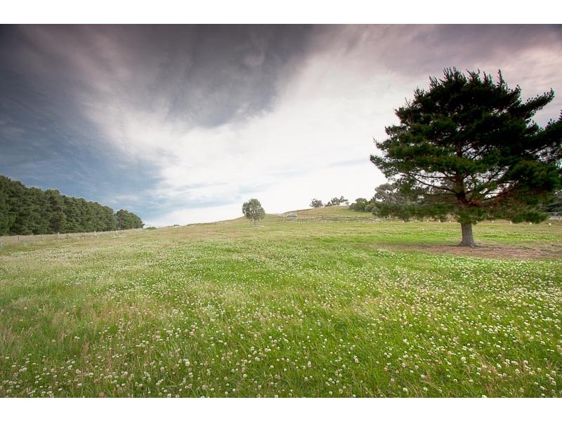 17 (Lot 5) Grey Box Gr, Riddells Creek VIC 3431