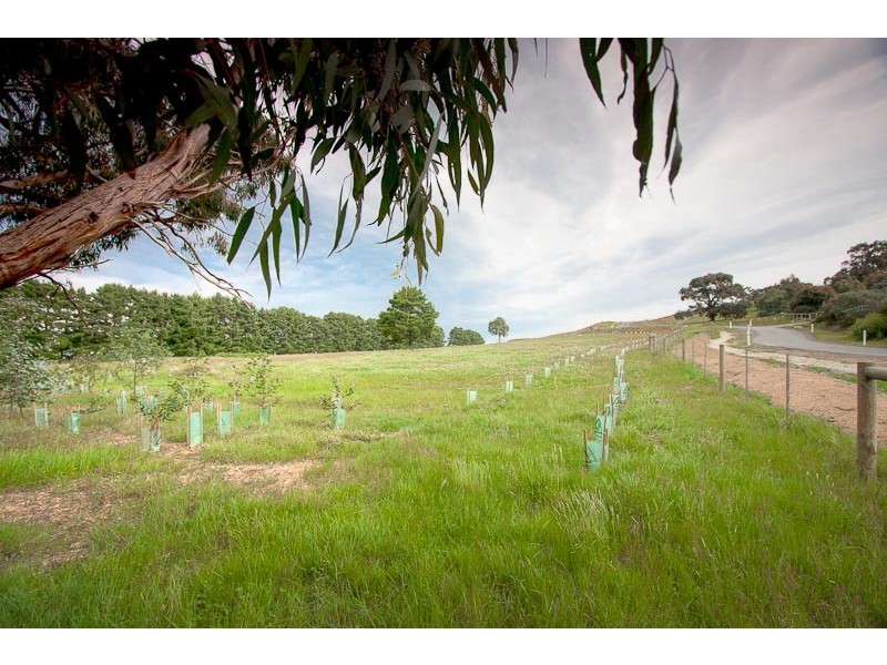 17 (Lot 5) Grey Box Gr, Riddells Creek VIC 3431