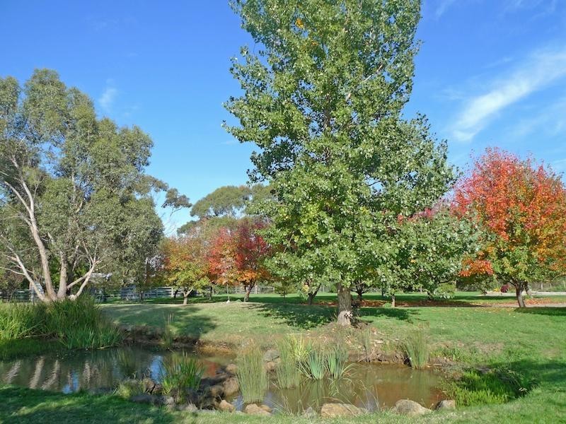 45 Brougham Rd, Macedon VIC 3440