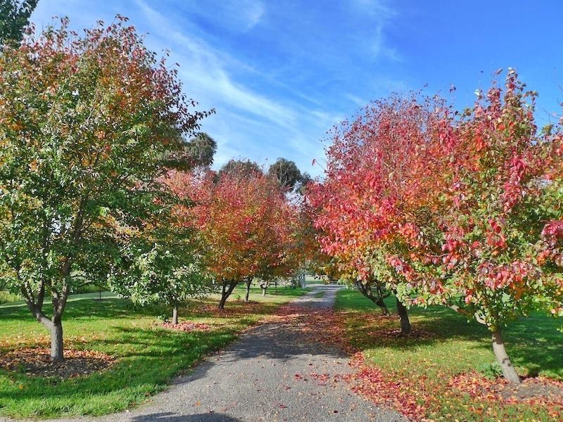 45 Brougham Rd, Macedon VIC 3440