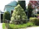 29 Urquhart Street, Woodend VIC 3442