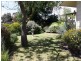 17 Richardson Street, Riddells Creek VIC 3431