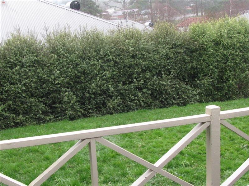 19 Buckland Street, Woodend VIC 3442