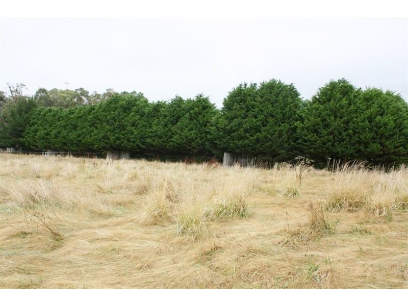 861 BACCHUS MARSH RD, Bullengarook VIC 3437