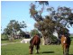 416 Blackhill Rd, Toolern Vale VIC 3337