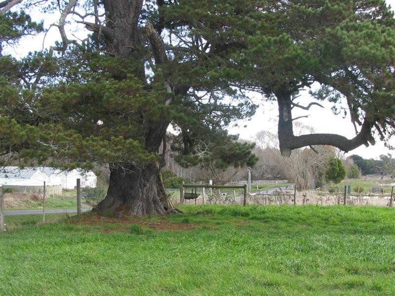 36 Russells Road, Woodend VIC 3442