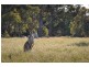 LOT 2/23 BENSON/COUANGALT ROAD, Gisborne South VIC 3437
