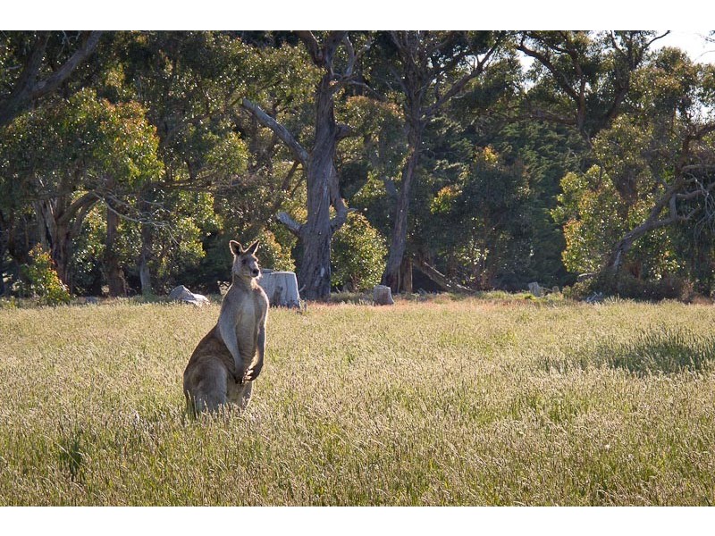 LOT 2/23 BENSON/COUANGALT ROAD, Gisborne South VIC 3437