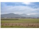 131 Murray Road, Gisborne VIC 3437
