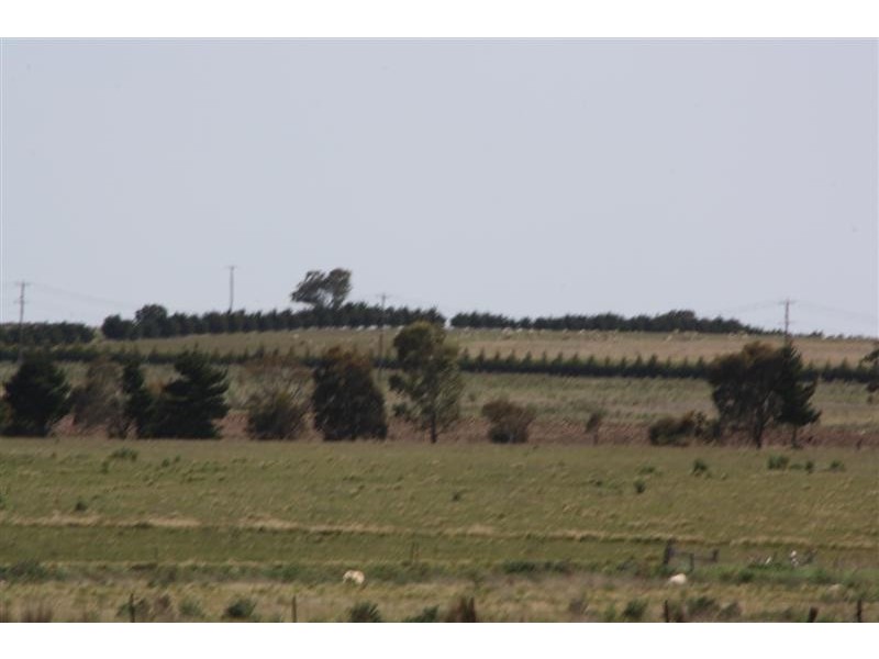 1301 Holden Road, Toolern Vale VIC 3337