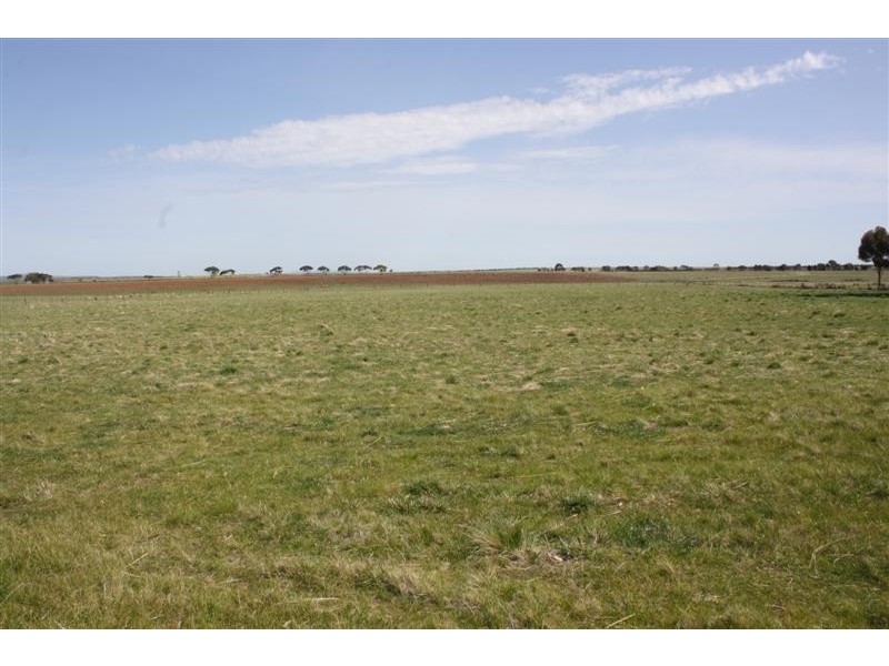 1301 HOLDEN RD, Toolern Vale VIC 3337