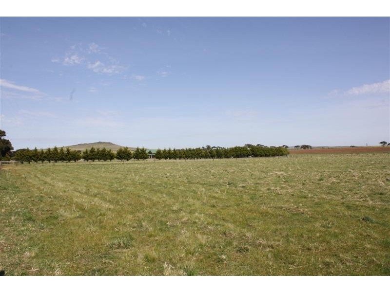 1301 HOLDEN RD, Toolern Vale VIC 3337