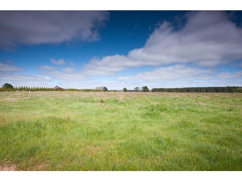 135 Pierce Road, New Gisborne VIC 3438