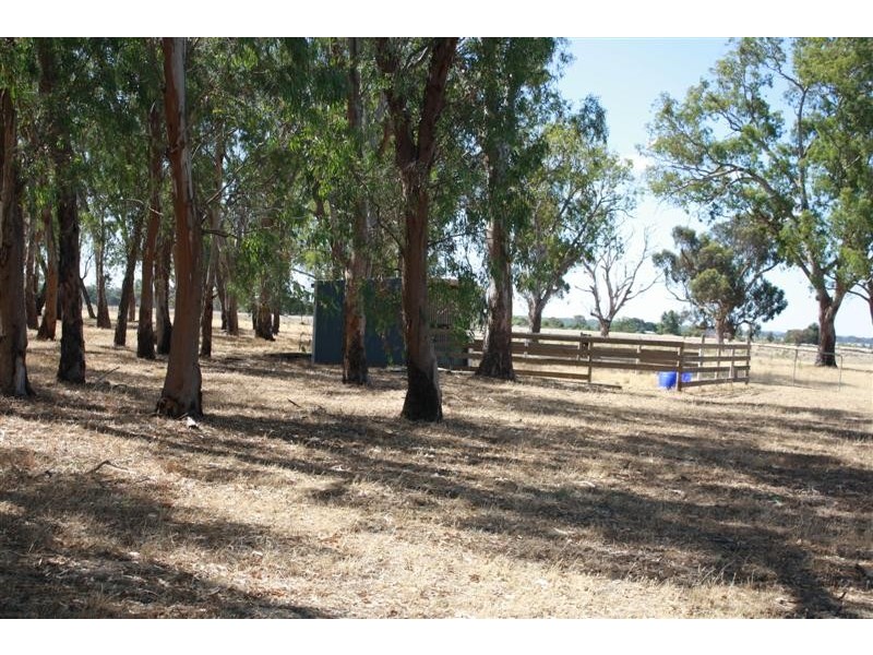 200 CAMPBELLS RD, Redesdale VIC 3444