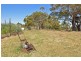 590 KENNEDYS LANE, Chintin VIC 3756