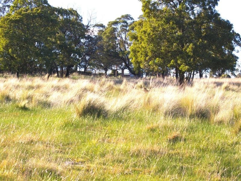 21 LOCK ROAD, Gisborne South VIC 3437