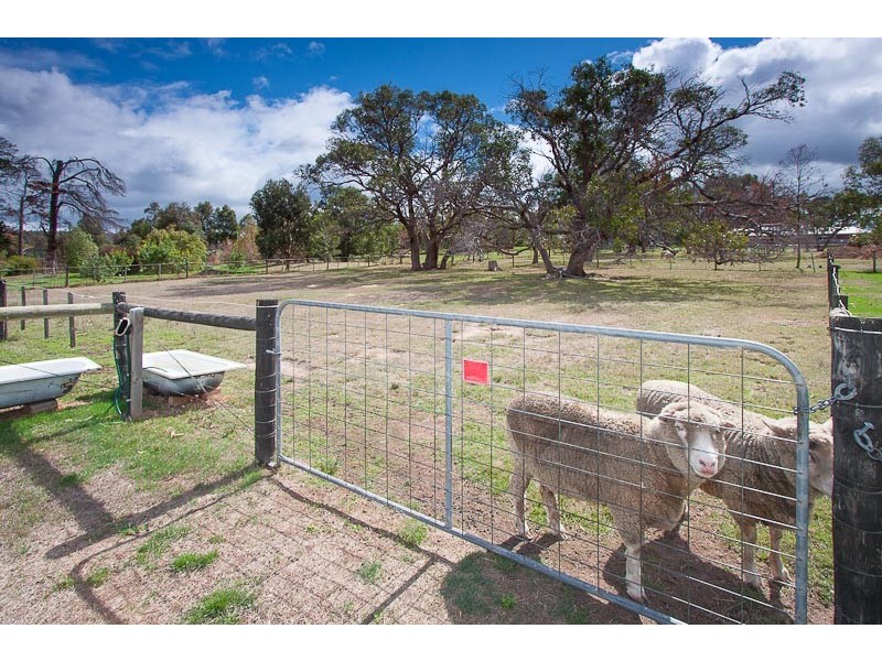 65 Kathryn Court, Riddells Creek VIC 3431