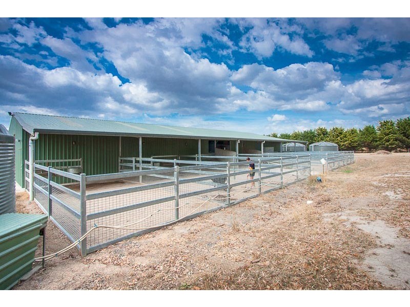 41 Stokes Lane West, Riddells Creek VIC 3431