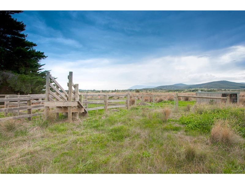181 CAMPBELL RD, Riddells Creek VIC 3431