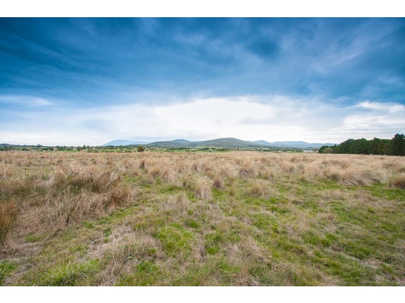 181 CAMPBELL RD, Riddells Creek VIC 3431