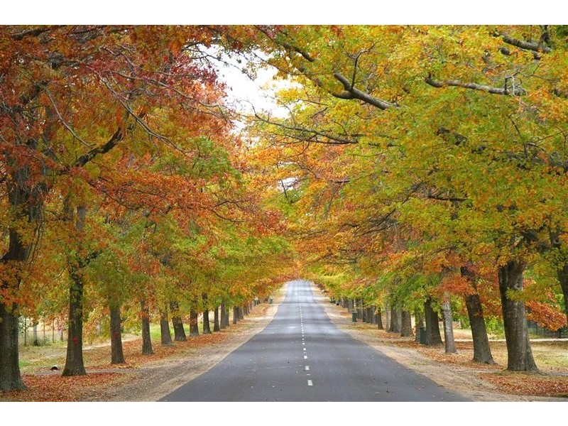 53 Honour Avenue, Macedon VIC 3440