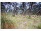 117 Mt Robertson Road, New Gisborne VIC 3438