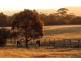 1135 Bacchus Marsh Road, Bullengarook VIC 3437