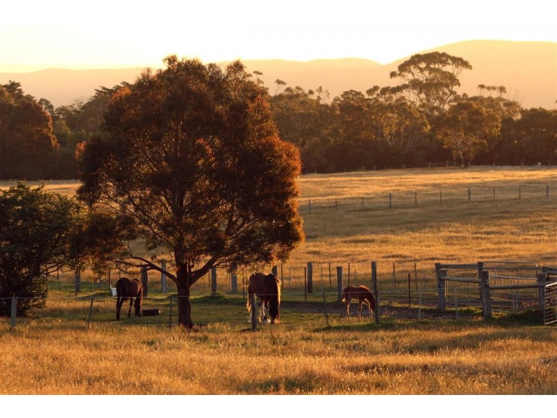 1135 Bacchus Marsh Road, Bullengarook VIC 3437