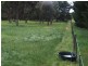 39 Meadow Lane, Riddells Creek VIC 3431
