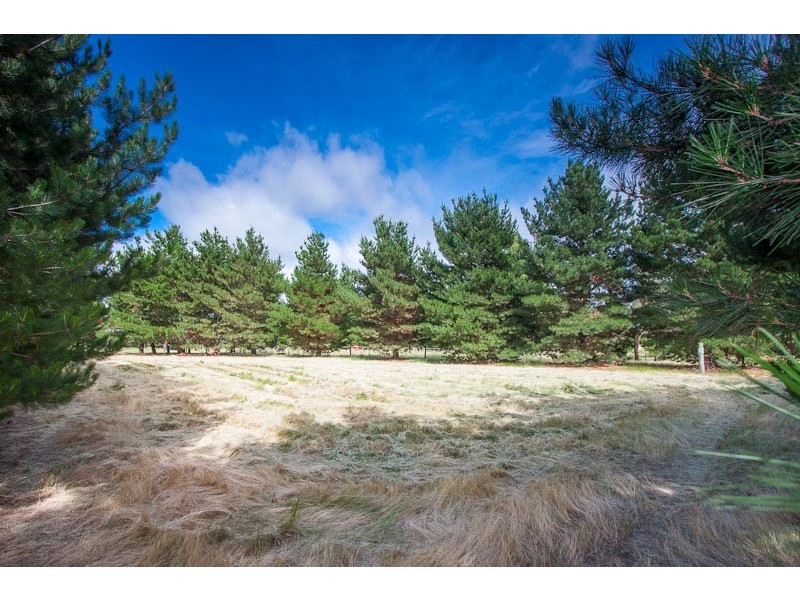 39 Meadow Lane, Riddells Creek VIC 3431