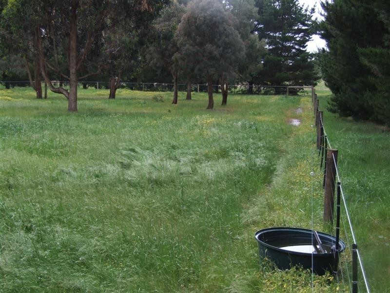 39 MEADOW LANE, Riddells Creek VIC 3431