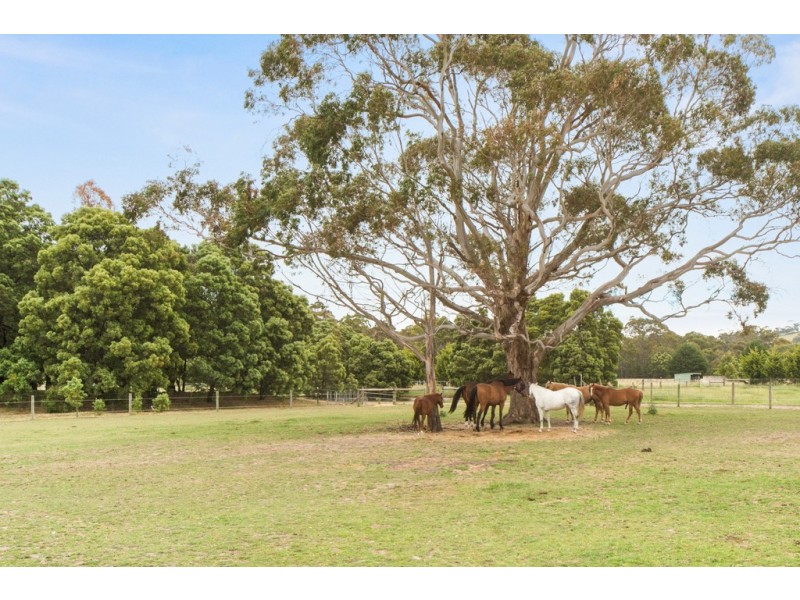 841 Bacchus Marsh Road, Bullengarook VIC 3437