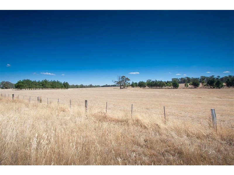 49 Institute Road, Carlsruhe VIC 3442