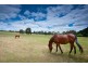 208 Couangalt Rd, Gisborne South VIC 3437