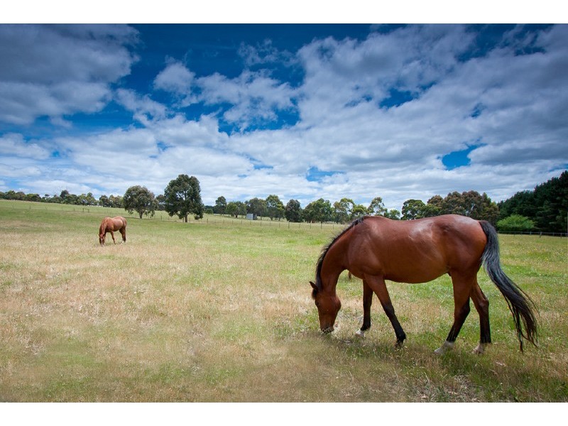 208 Couangalt Rd, Gisborne South VIC 3437