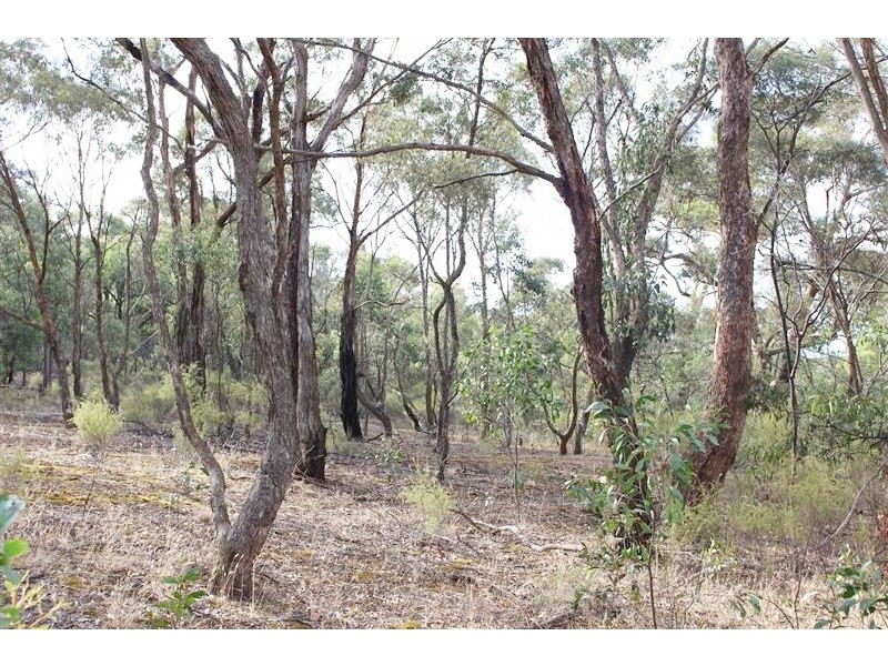 Lot 1/184-204 Burns Lane, Gisborne South VIC 3437