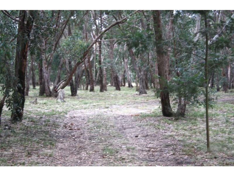 Lot 2/96 Gap Road, Riddells Creek VIC 3431