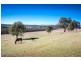 1481 Kilmore Road, Lancefield VIC 3435