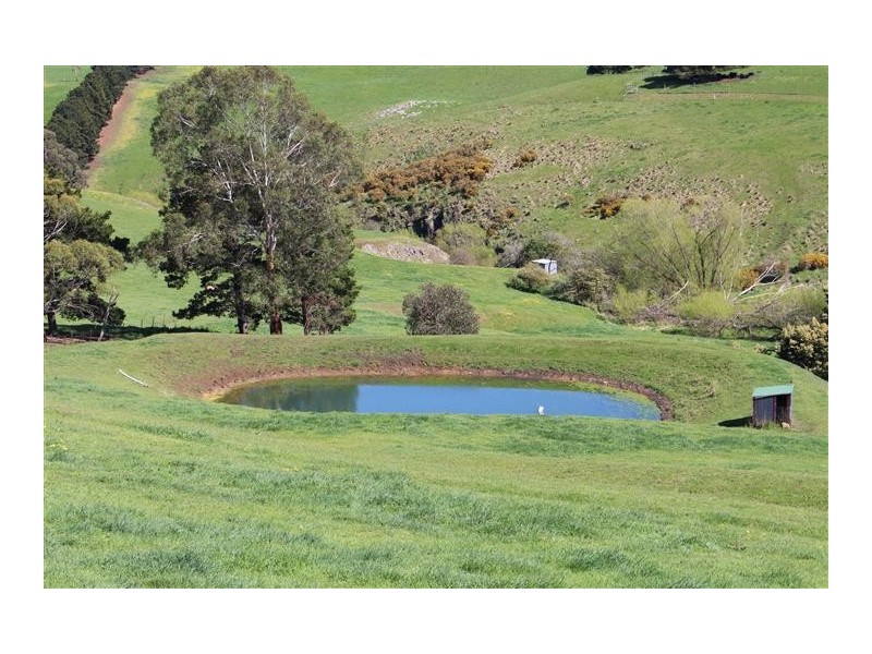 184 Benson Road, Gisborne South VIC 3437