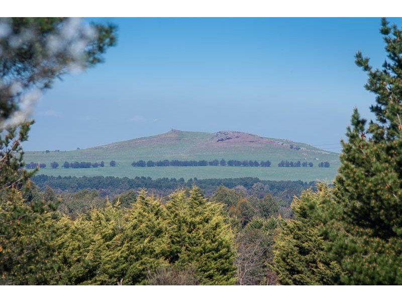 62 Saunders Road, New Gisborne VIC 3438