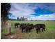 680 Chanters Lane,, Tylden VIC 3444